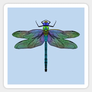 Colorful Emperor Dragonfly Art Magnet